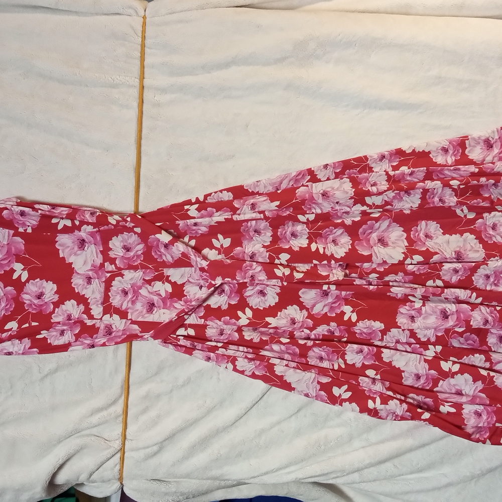 Haani Red and Pink Floral Dress